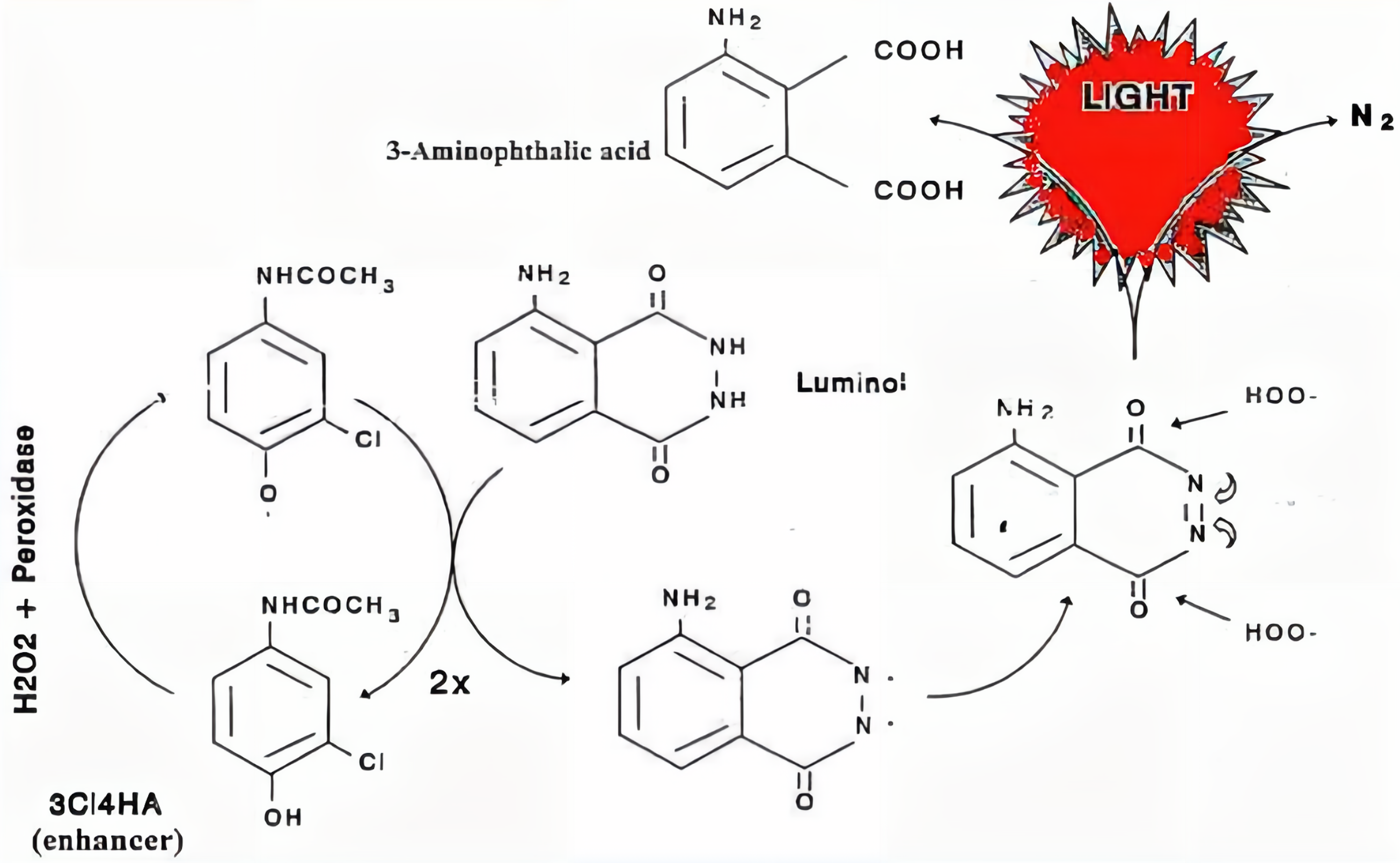 增強劑增強原理示意圖 增強劑增強原理示意圖